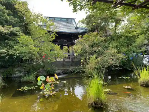 西新井大師総持寺(東京都)