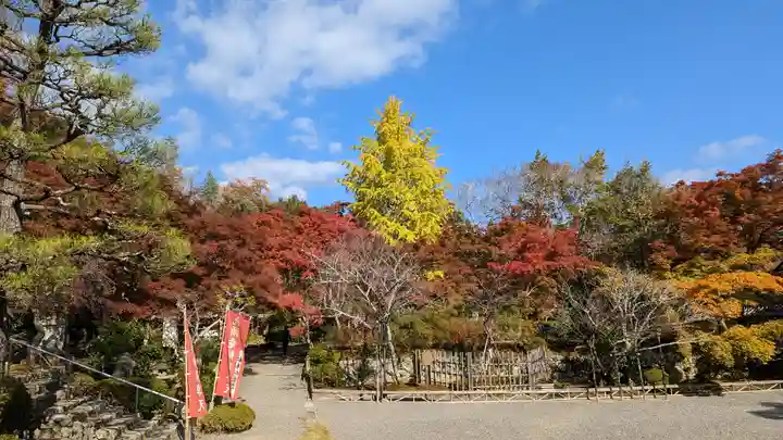 二尊院(京都府)