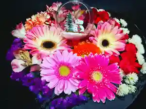 真言宗 善通寺派 薬王寺(香川県)(2022年12月24日(土) 18時38分54秒投稿)