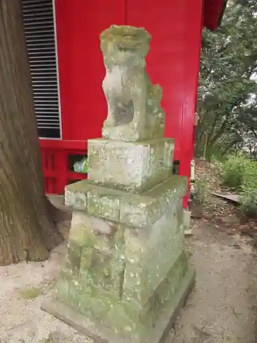 高瀧神社の狛犬