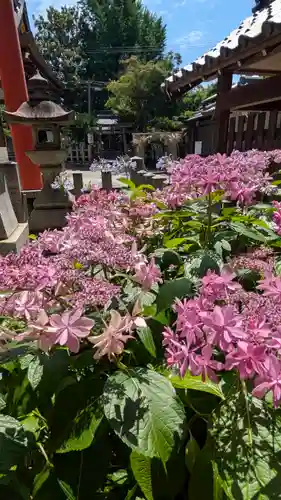 大将軍神社　東三條殿(京都府)
