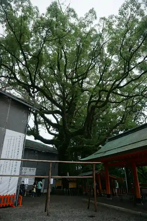 熊野那智大社の自然