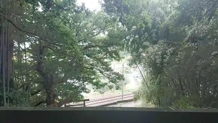 龍神社(静岡県)