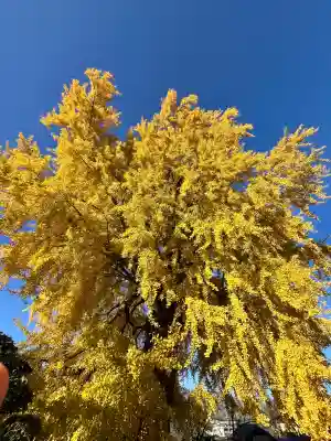 丹生酒殿神社(和歌山県)