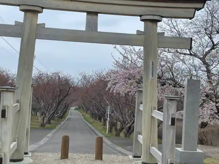 石崎地主海神社の鳥居