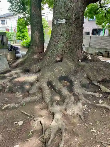 養福寺(東京都)