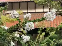 木舟山 順教寺の自然