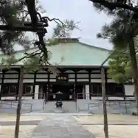 善養寺の本殿・本堂