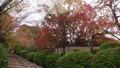 宗忠神社の建物その他