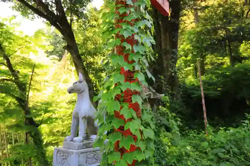 東泉寺の狛犬