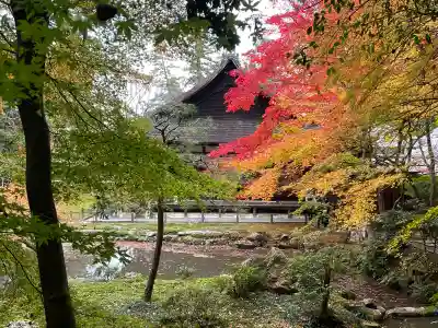 南禅院(京都府)