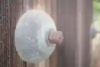 淨空院のその他建物