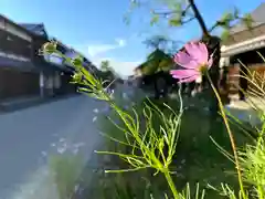 白鳥神社(長野県)