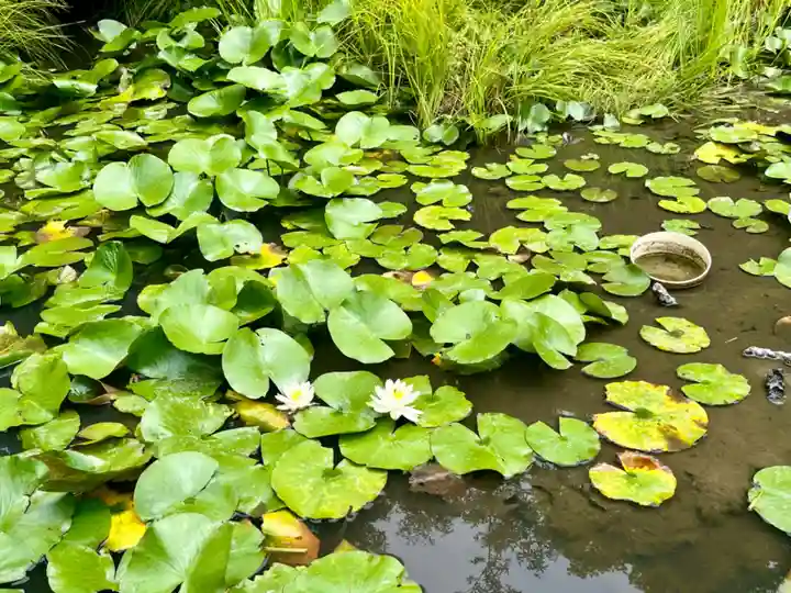 清水寺(宮城県)