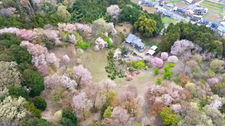 光明寺(埼玉県)