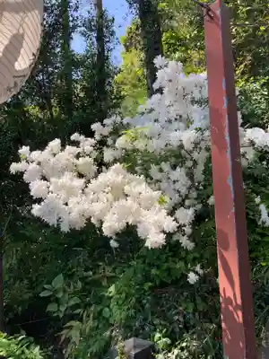 住吉神社(東京都)