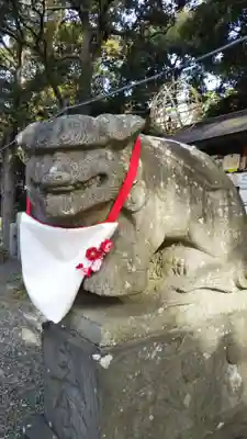 菊田神社の狛犬