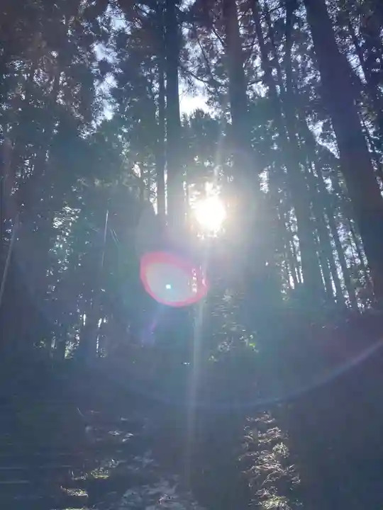 石動神社の自然