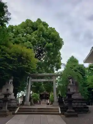 諏訪神社(東京都)