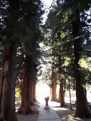 河口浅間神社のその他建物