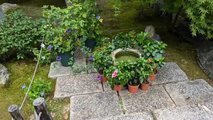 勝林寺(京都府)