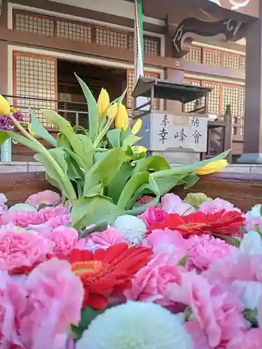 釋迦院（釈迦院）(大阪府)