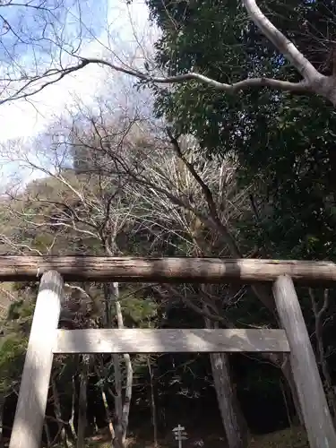 出雲大神宮の鳥居