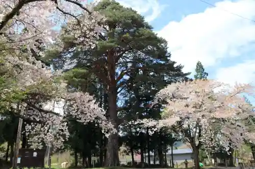 大原観音堂の自然