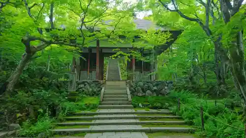 常寂光寺(京都府)