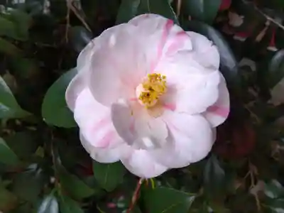 霊鑑寺門跡(京都府)