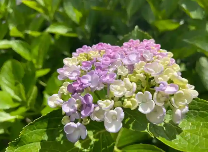 松本山 地福禅寺(滋賀県)