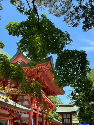 武蔵一宮氷川神社(埼玉県)
