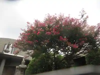 真珠院(東京都)