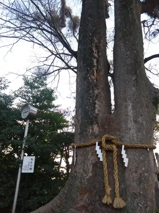 比々多神社(神奈川県)