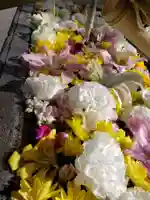 鳩森八幡神社の手水舎