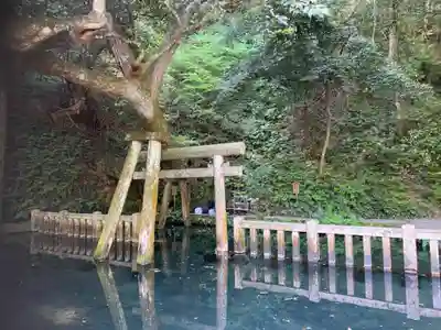 鹿島神宮(茨城県)