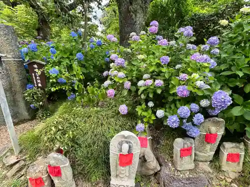矢田寺(奈良県)