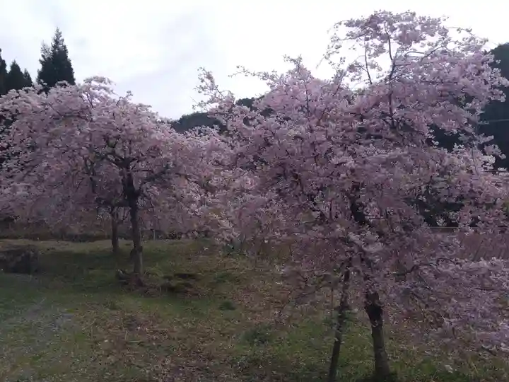 熊野神社(京都府)