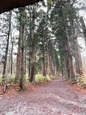 戸隠神社奥社(長野県)