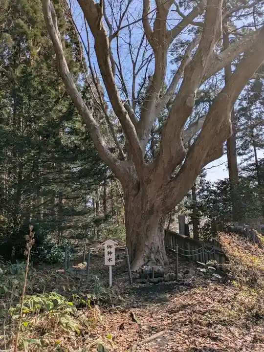 函館八幡宮(北海道)