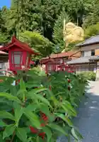 中之嶽神社(群馬県)