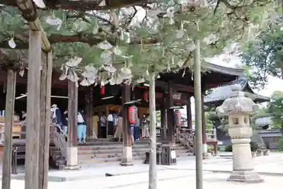 智恩寺の本殿・本堂
