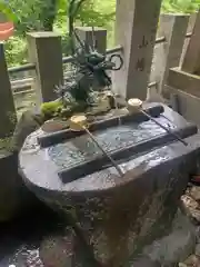 九頭龍神社(東京都)