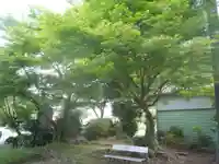 津嶋神社(愛知県)