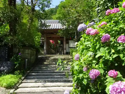 岩殿寺の山門・神門