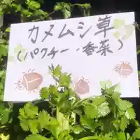 高司神社〜むすびの神の鎮まる社〜(福島県)