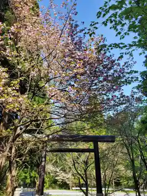 土津神社｜こどもと出世の神さま(福島県)