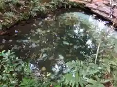 八重垣神社(島根県)