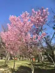 賀茂別雷神社（上賀茂神社）の自然