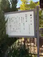 清水寺の{uncategorized: "未分類", other: "その他", undefined: "問題あり", building: "その他建物", grave: "お墓", sacred_gate: "鳥居", guardian: "狛犬", statue: "像", buddha: "仏像", history: "歴史", nature: "自然", garden: "庭園", animal: "動物", pagoda: "塔", temizu: "手水舎", mountain_gate: "山門・神門", sanctuary: "本殿・本堂", subordinate: "末社・摂社", art: "芸術", scenery: "景色", jizo: "地蔵", ema: "絵馬", goshuin: "御朱印", omikuji: "おみくじ", items: "授与品その他", amulet: "お守り", goshuincho: "御朱印帳", eats: "食事", festival: "お祭り", votive_dance: "神楽", shichigosan: "七五三参", wedding: "結婚式", experience: "体験その他", initially: "初詣", around: "周辺", anti_infection: "感染症対策"}